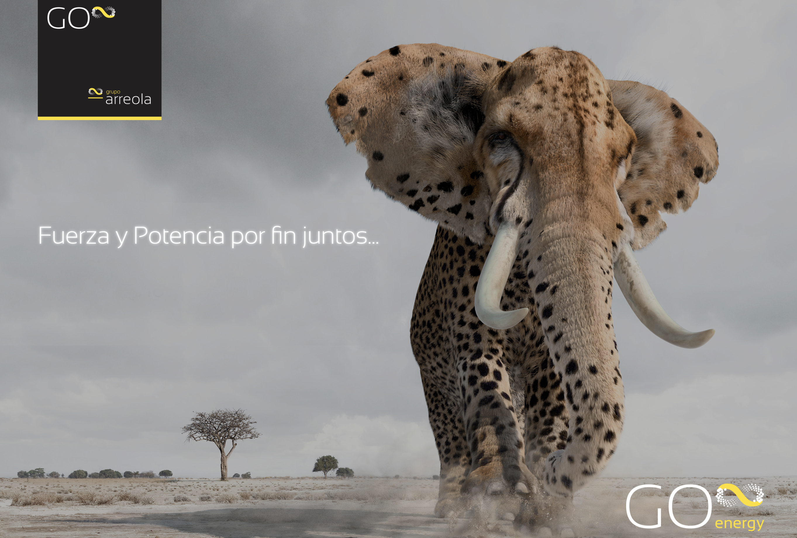 Integración de culturas corporativas Go Energy