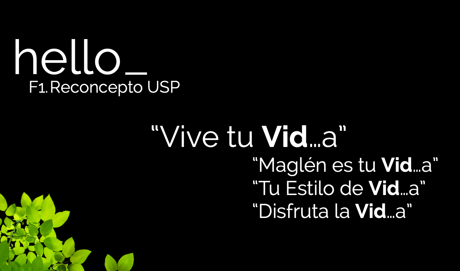 Imagen 4 del estudio de caso maglén winery resort