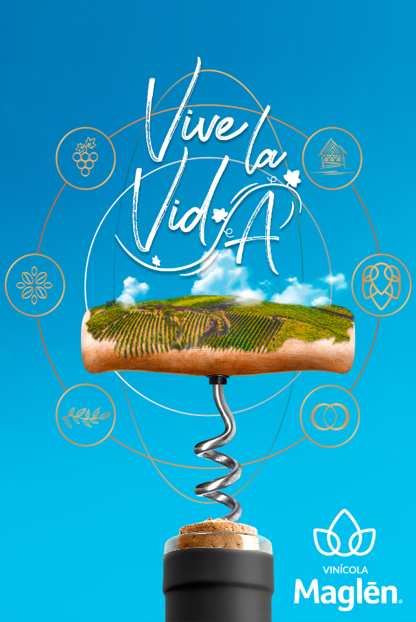 Imagen 5 del estudio de caso maglén winery resort